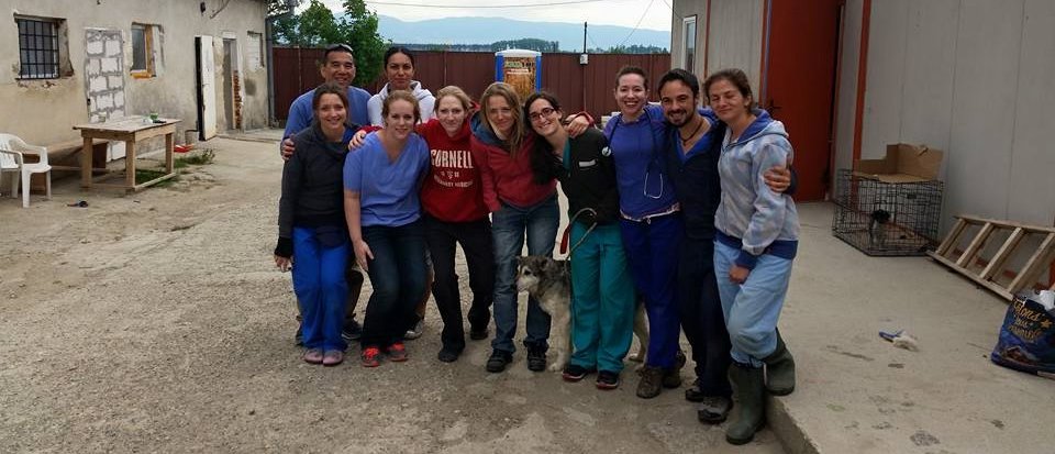 FARVets team posing together with a local dog during a clinic in Bulgaria