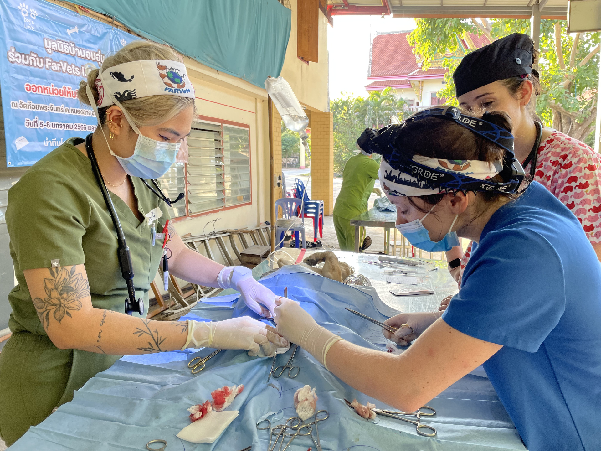 FARVets students and clinicians working together during a community clinic surgery
