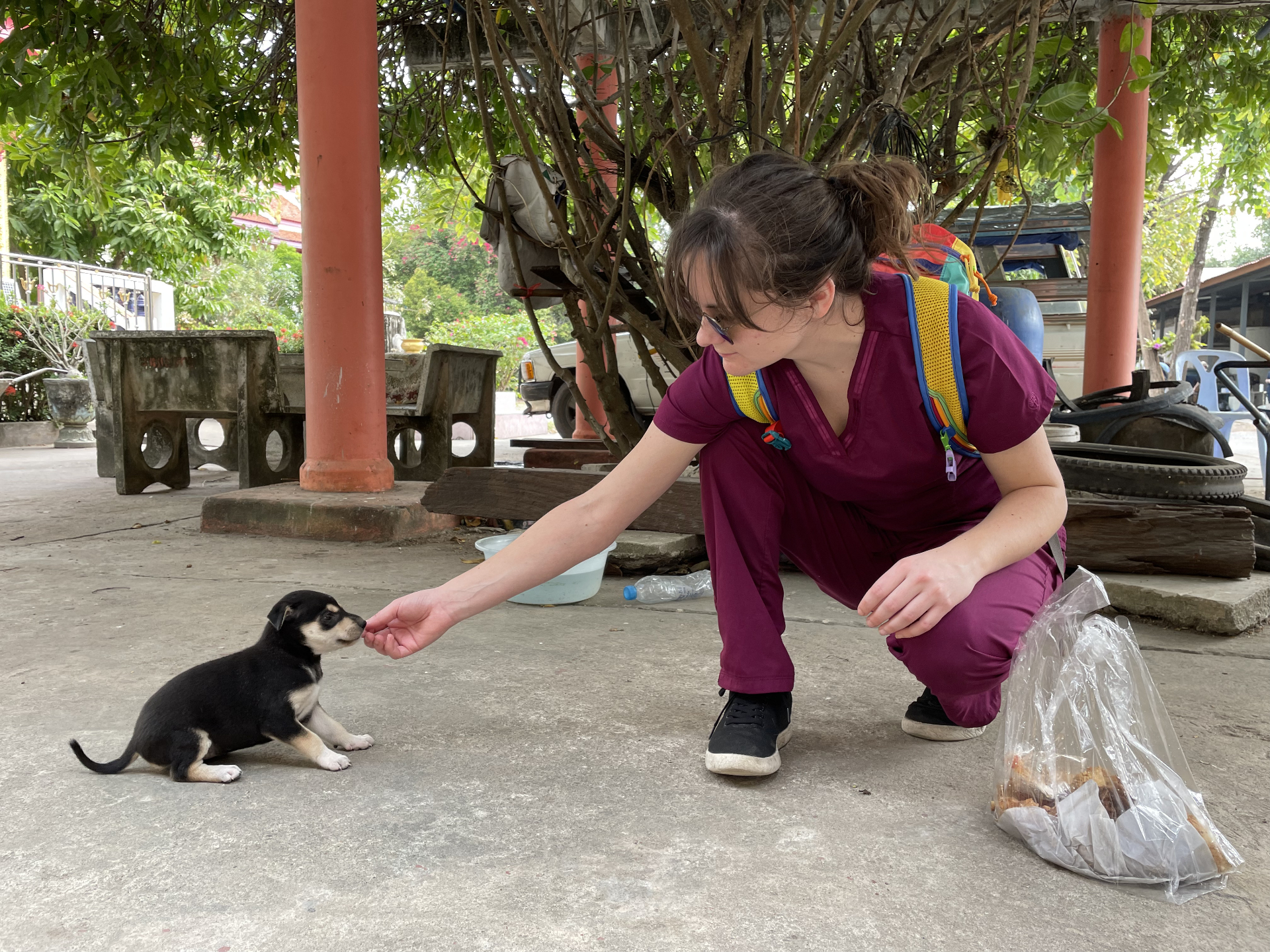 A FARVets volunteer reaches out to a small puppy during a clinic in Thailand
