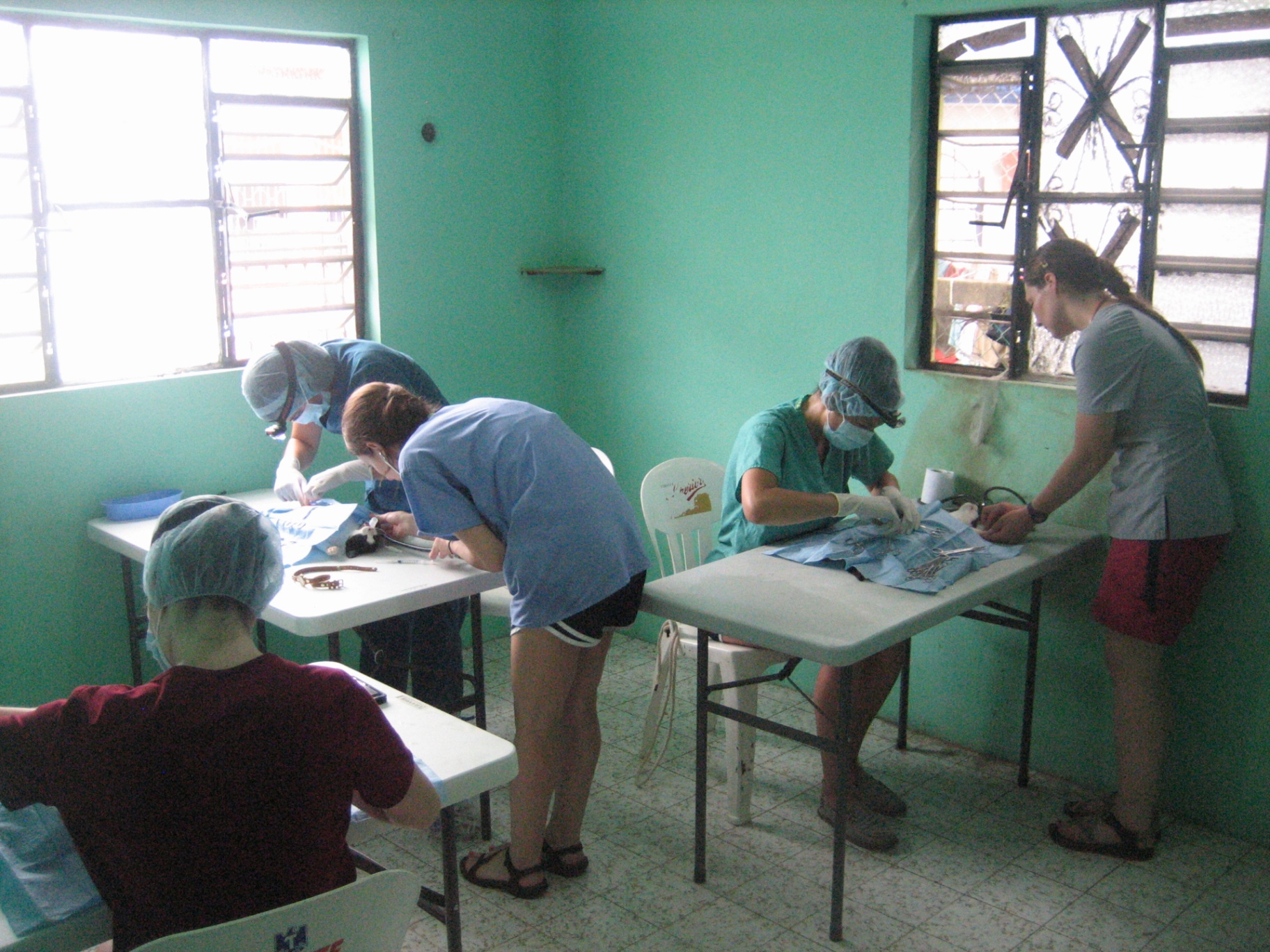 FARVets clinicians and students working together during a clinic day in the Yucatan