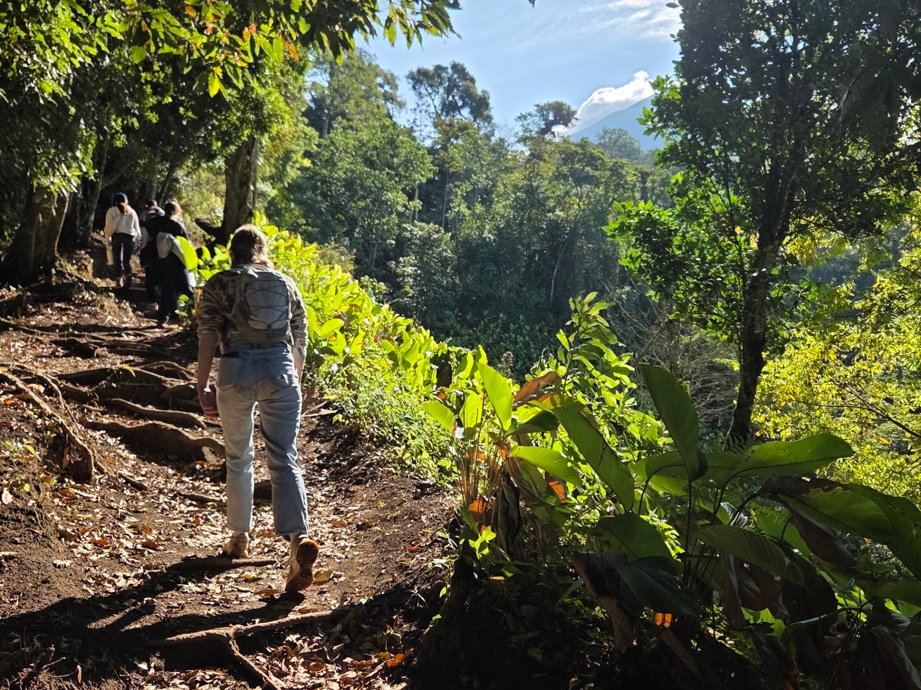 FARVets team hiking a jungle trail toward a volcano on a field mission