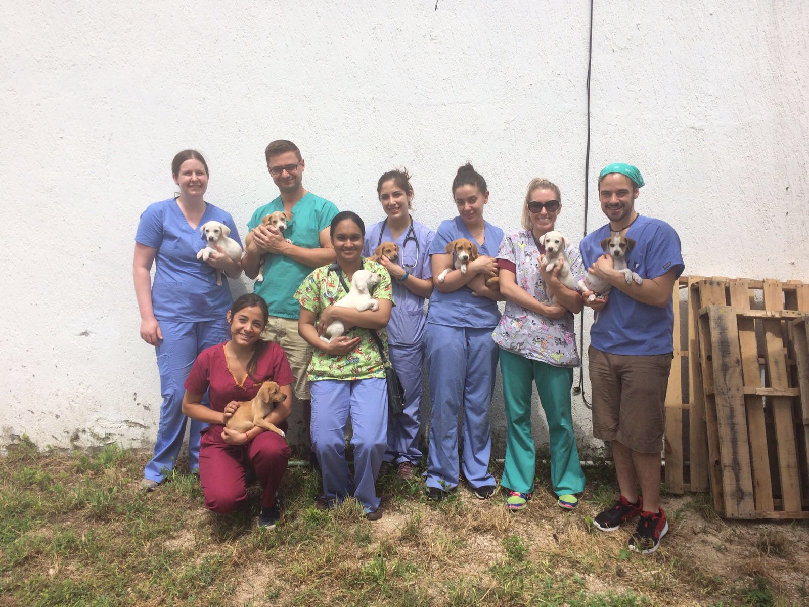 FARVets team holding puppies with local partners in the Yucatan