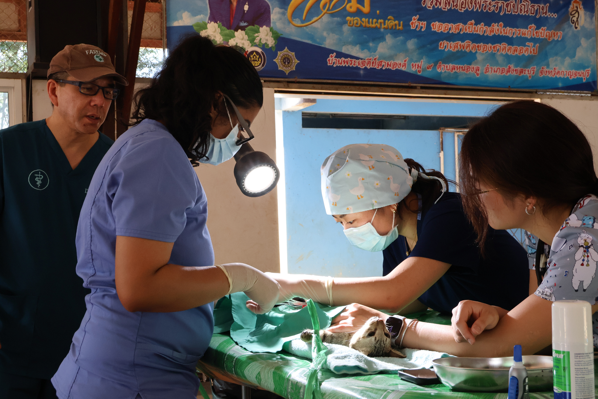 FARVets clinicians performing surgery on a cat at a Thailand clinic