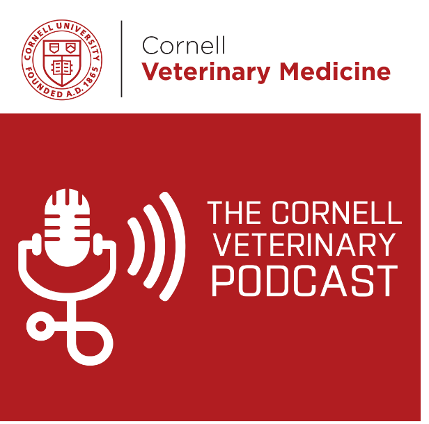 The Cornell Veterinary Podcast cover art