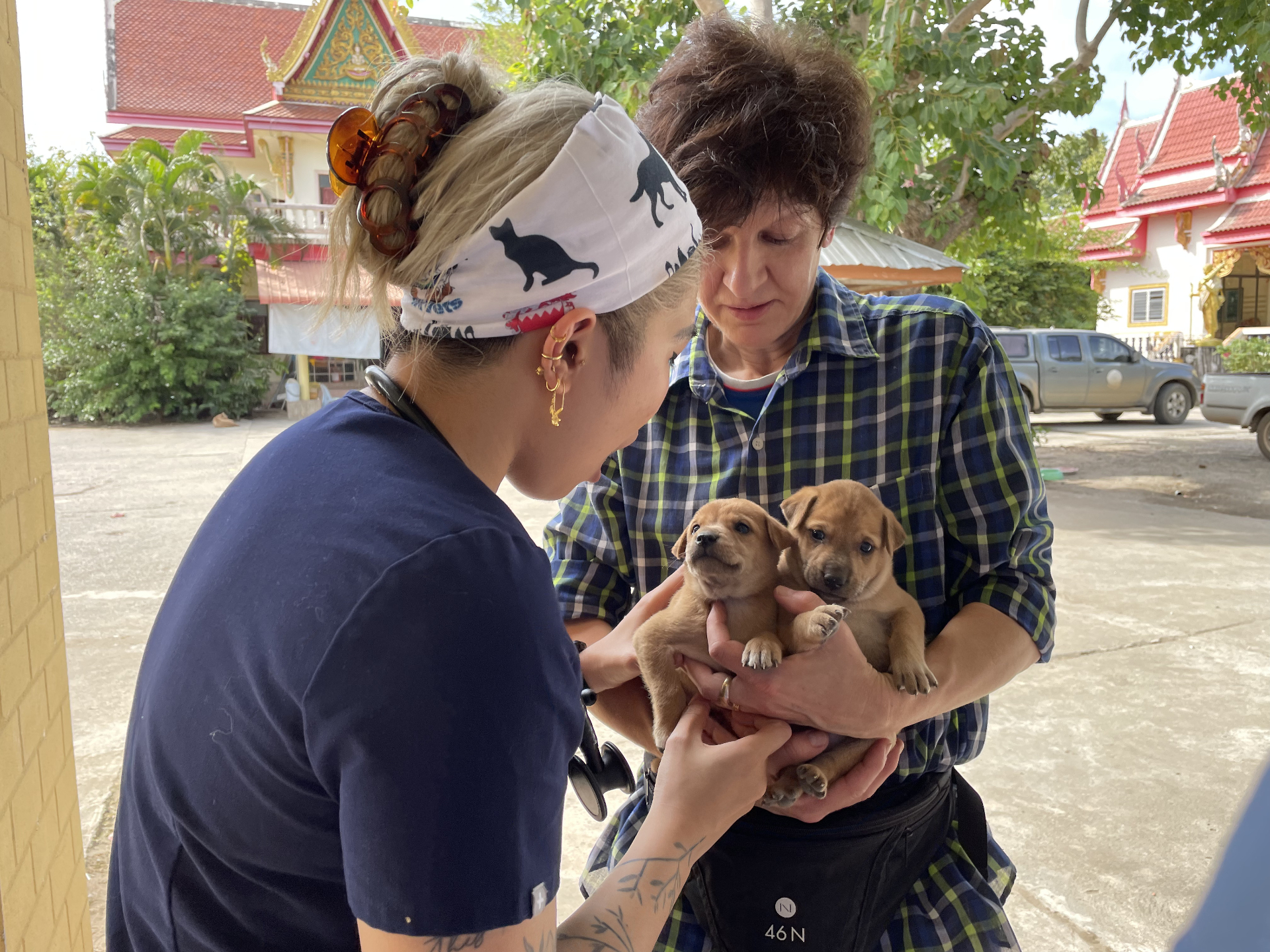 A FARVets team member examines two puppies held by a local community member during a clinic in Thailand